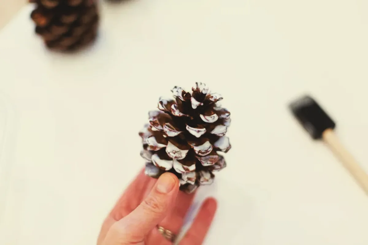 1700579641 721 Decoration with pine cones for Christmas to make yourself –.webp - Decoration with pine cones for Christmas to make yourself – 5 easy ideas