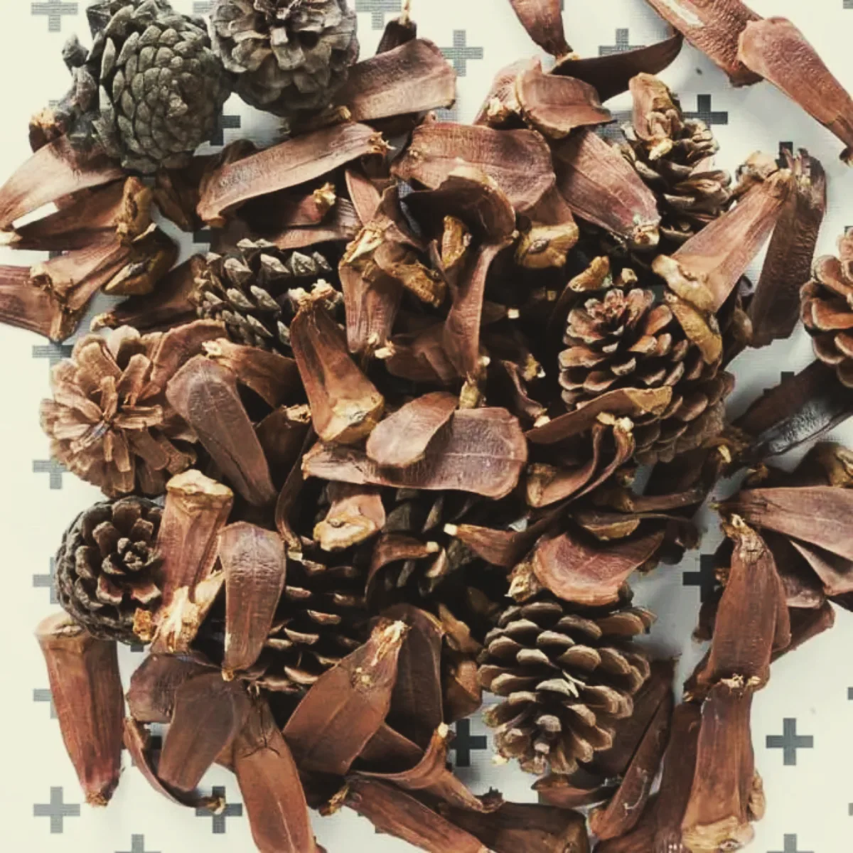 1700579642 861 Decoration with pine cones for Christmas to make yourself –.webp - Decoration with pine cones for Christmas to make yourself – 5 easy ideas